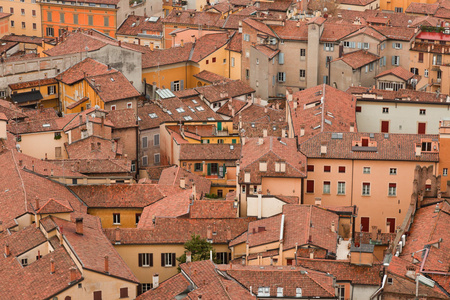 博洛尼亚鸟视图的城市。天台。意大利。欧洲
