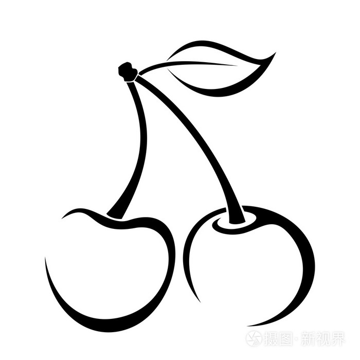 等高线绘制的樱桃.矢量插画