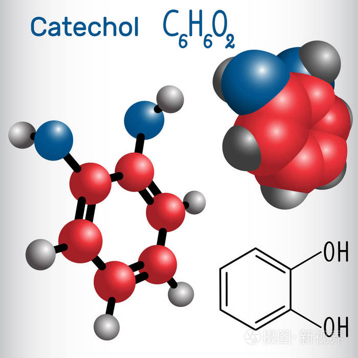 邻苯二酚 (儿茶酚) 分子结构化学公式和模型.矢量插图