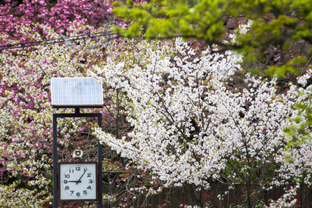 京都的日本街景视图