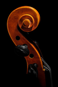 小提琴 pegbox 和滚动的细节