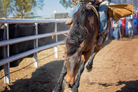 牛仔骑着一匹压着马在鞍野马事件在一个国家的牛仔竞技。此图像接近动作