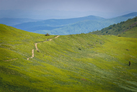 波兰 Bieszczady 山 Wetlina 草甸斜坡上的旅游线路