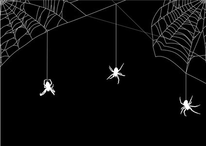 三个小蜘蛛在白色网