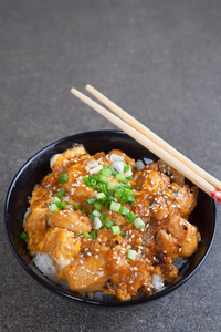 oyakooyodonoyodonburi