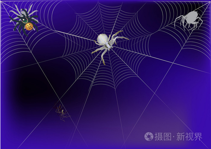 在web 上深蓝色背景中的蜘蛛