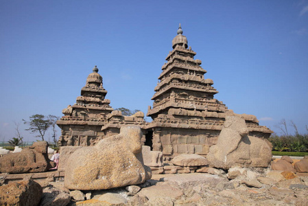 美丽的 Tamilnadu 州, Mamallapuram, 印度