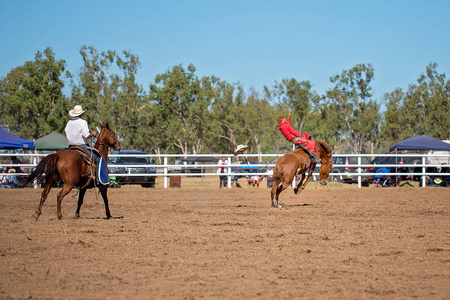 牛仔骑着一匹压马在鞍野马事件在一个国家的牛仔竞技