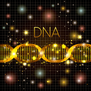 金纹线上的 dna 分子