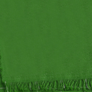 绿色纺织餐巾白色