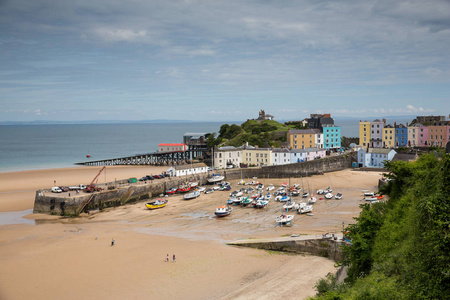 Tenby 港在低潮, 彭布鲁克郡农场主, 英国