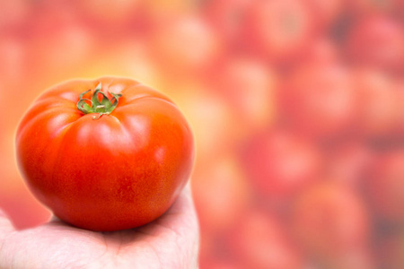 番茄红鲜蔬菜