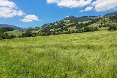 在瑞士 Schwyz 的夏日美景中, 这幅画是在 Schwyz 镇地区的琼结束时拍摄的。