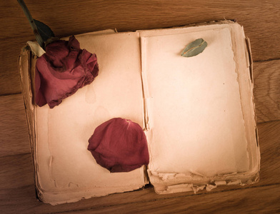 打开老的书与文本和老式木制的桌子上干玫瑰的空白页