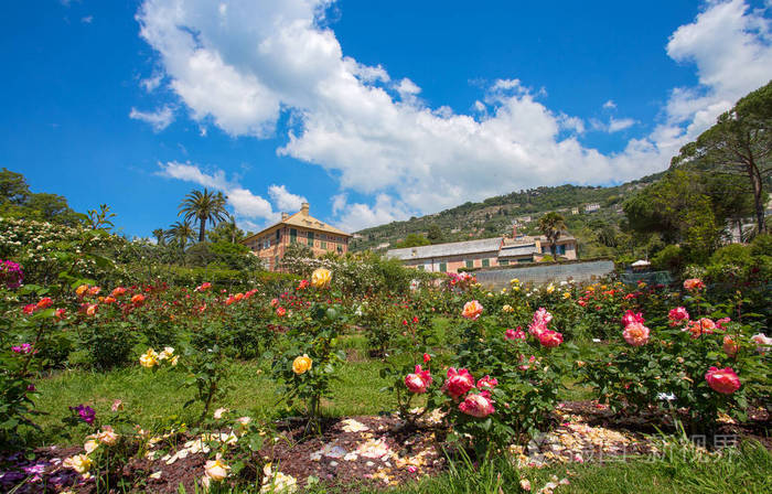 的玫瑰园 "il roseto" (genova) 神经, 位于热那亚神经公园, 意大利