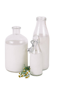 三不同的瓶牛奶与洋甘菊隔绝在白色背景上