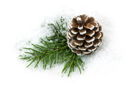 松果在雪地里, 冬天的圣诞装饰