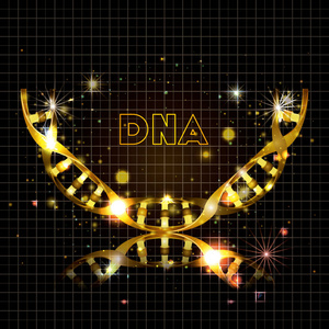 dna 分子半圆金结构