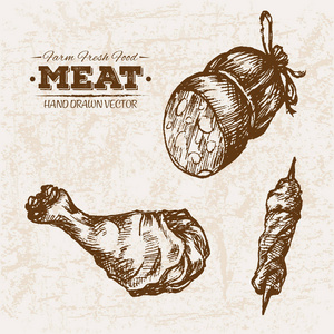 手绘素描肉类产品集, 农场新鲜食品, 黑白葡萄酒插图照片