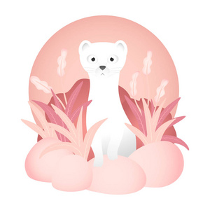 珍贵的毛皮图片