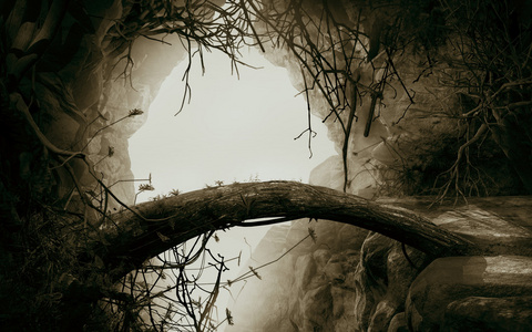 进入新时代图片