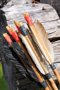 弓箭羽毛细节照片