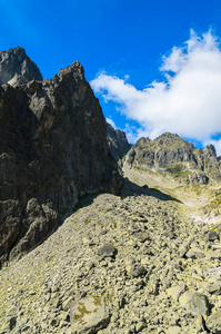 斯洛伐克5湖流域 Tatra 山脉的夏季景观