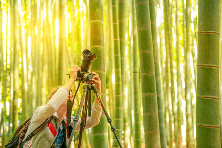 研究竹摄影师图片