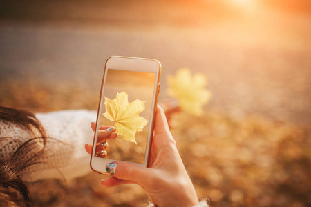 在秋季使用智能手机的妇女。秋天女孩在太阳耀斑树叶的智能电话交谈。秋季色彩中的高加索森林模型肖像