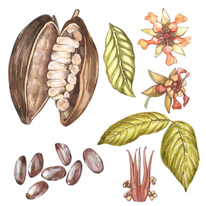 异域美食图片-异域美食素材-异域美食插画-摄图新视界