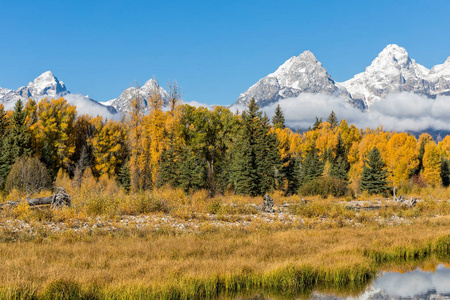 在秋天赶牲口的山水风景