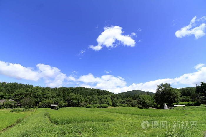 日本北部托诺的农村景象夏季