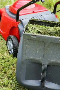 草坪割草机满草的容器