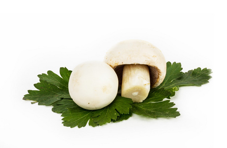 在白色背景上的白色蘑菇
