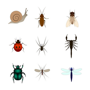 一套不同的昆虫矢量插图。蝎子, 苍蝇, 蜘蛛, 蜗牛, 甲虫, 蚊子, 蝴蝶, 蜻蜓, 蟑螂