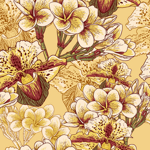 西域风情的衣服图片