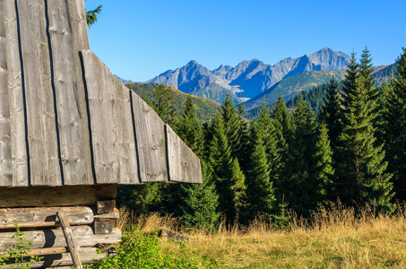 波兰 Tatra 山场 Rusinowa 木小屋