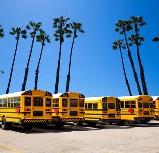 加州棕榈树照片的校车行山