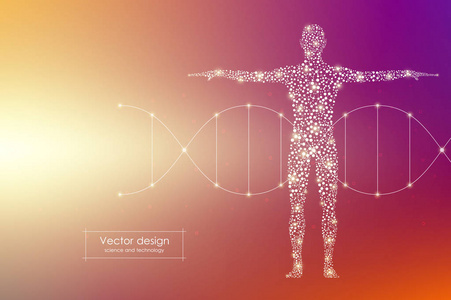 矢量人体与分子 Dna。医学科技理念