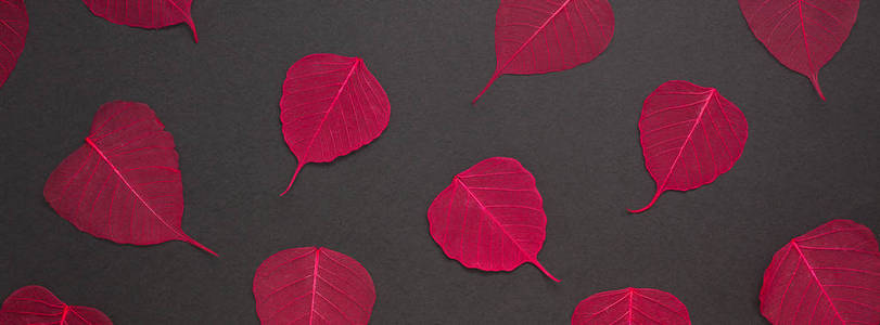创意顶层平躺秋季作文。概念红叶图案框架黑色背景复制空间简约模板秋季周年请柬卡