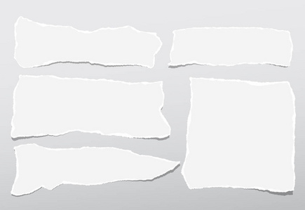 撕破的白纸条, 笔记本纸条贴在灰色渐变背景上照片