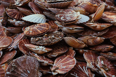 新鲜的干贝海鲜分类在鱼市场。定了调子