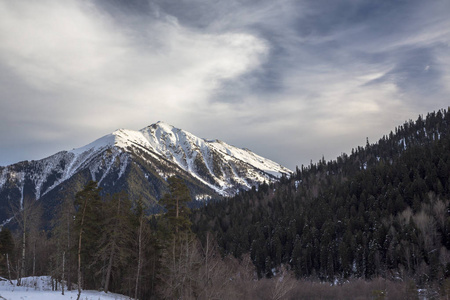 在山的冬天, 一个美丽的景色, 雪坡和顶部, 风景如画的峡谷。北高加索的狂放的自然