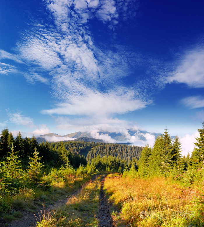 阳光明媚的早晨在山