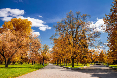 神奇的秋天公园与路径和梦幻般的光芒，童话般的土地