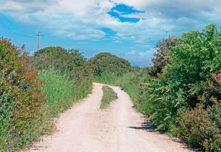 白云和乡村道路