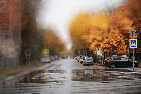 秋天背景雨在公园里