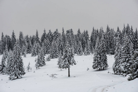 童话冬天风景与雪盖的圣诞树