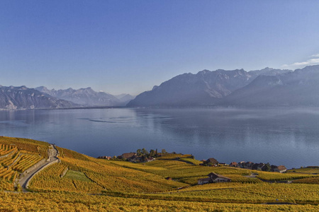 从 Lavaux 鸟瞰日内瓦湖