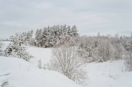 冬季田园风光与白雪和白色田野